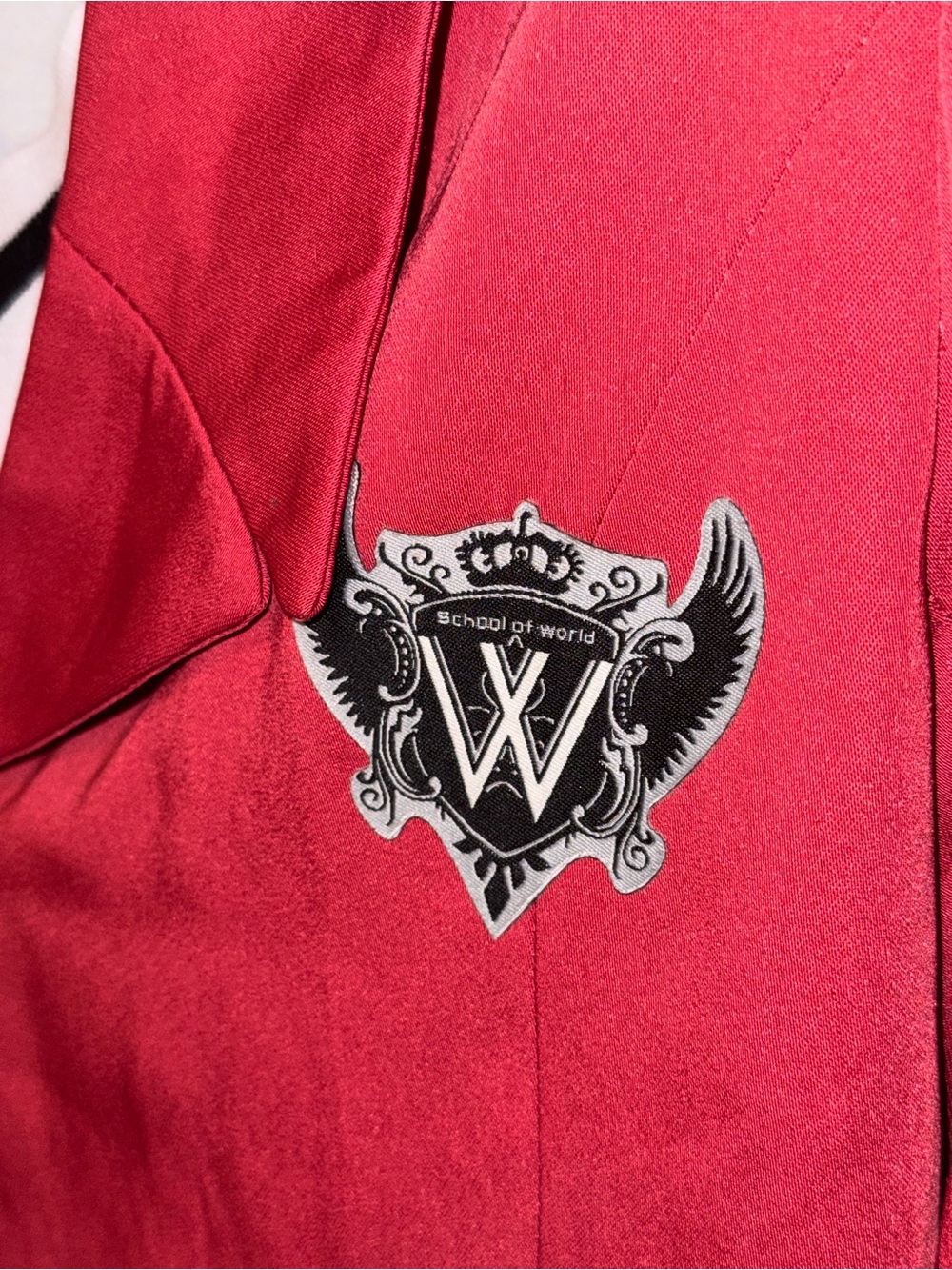 Axis Powers Hetalia School of World Japanese Girls/Women Uniform Cosplay Costume - Picture 3 of 11